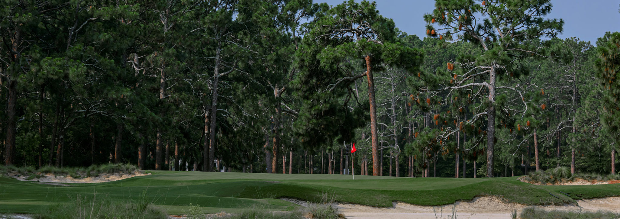 USGA Membership – USGA Foundation